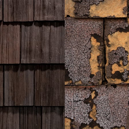 vs Asphalt Shingles