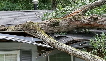 Insurance Claims Process for Roof Replacement
