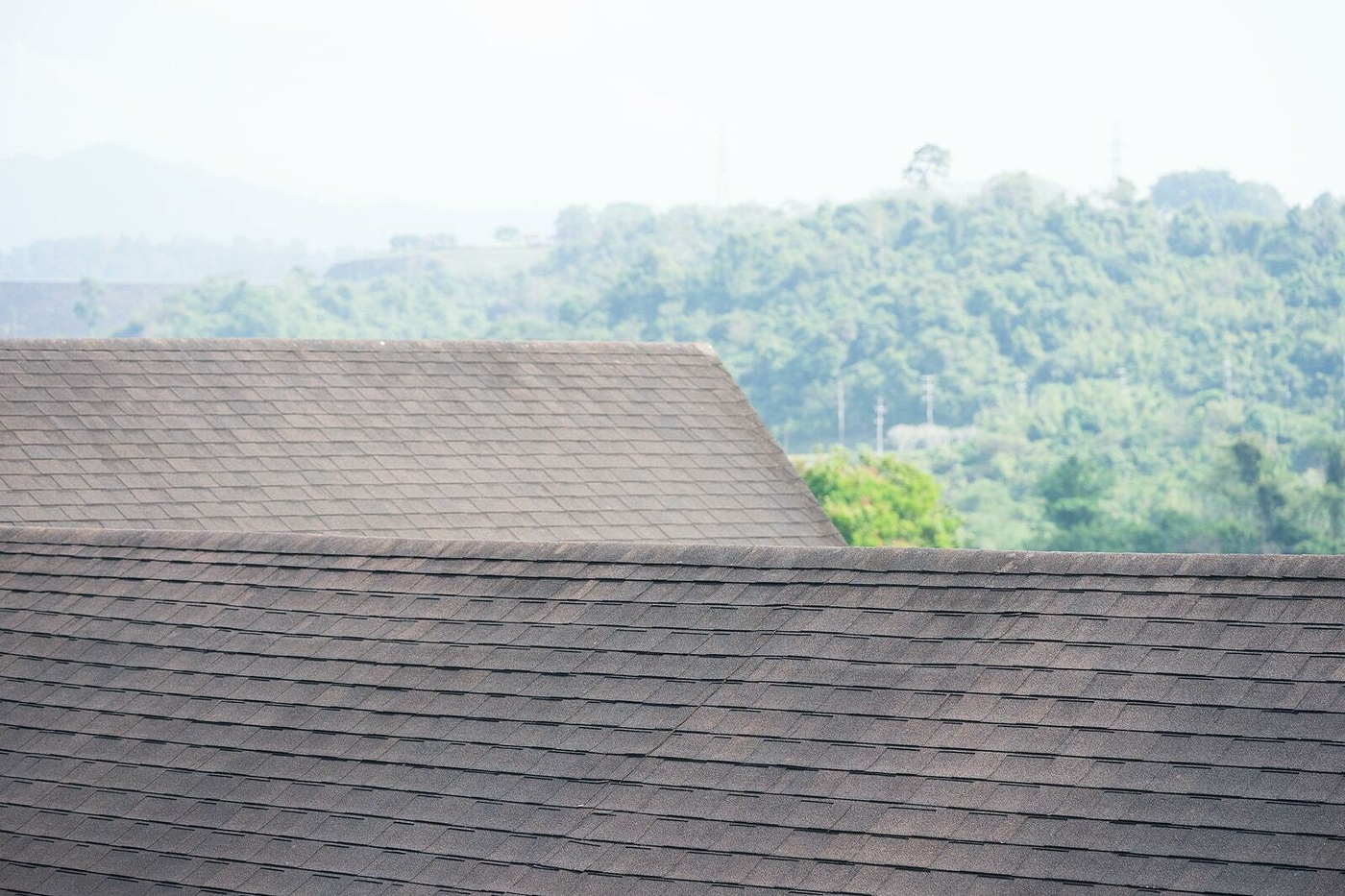 Why Are My Asphalt Roof Shingles Discolored