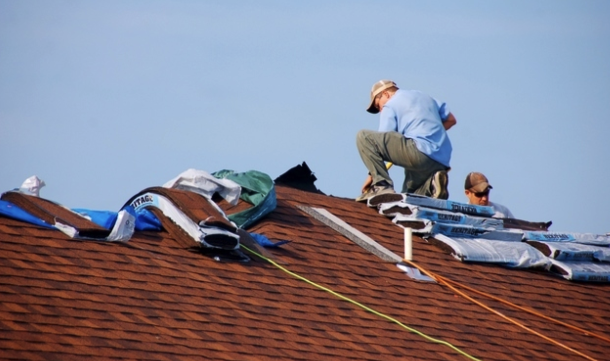 Best Shingles 1