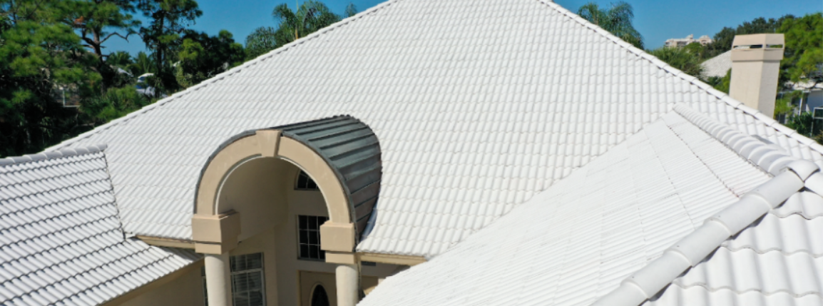 BRAVAASPIRE header image 31